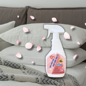 Dung dịch vệ sinh chuyên dụng Ôm vệ sinh nệm bị mốc