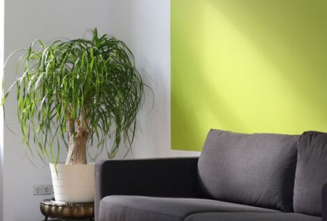 Cách chăm sóc quần áo thiết kế cao cấp - Hình ảnh minh họa chuẩn y khoa Ôm Care (1)