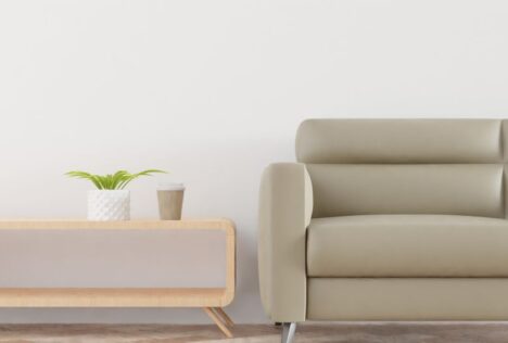 Ghế sofa da bị bẩn mốc lau bằng gì - Hình ảnh minh họa chuẩn y khoa Ôm Care (1)